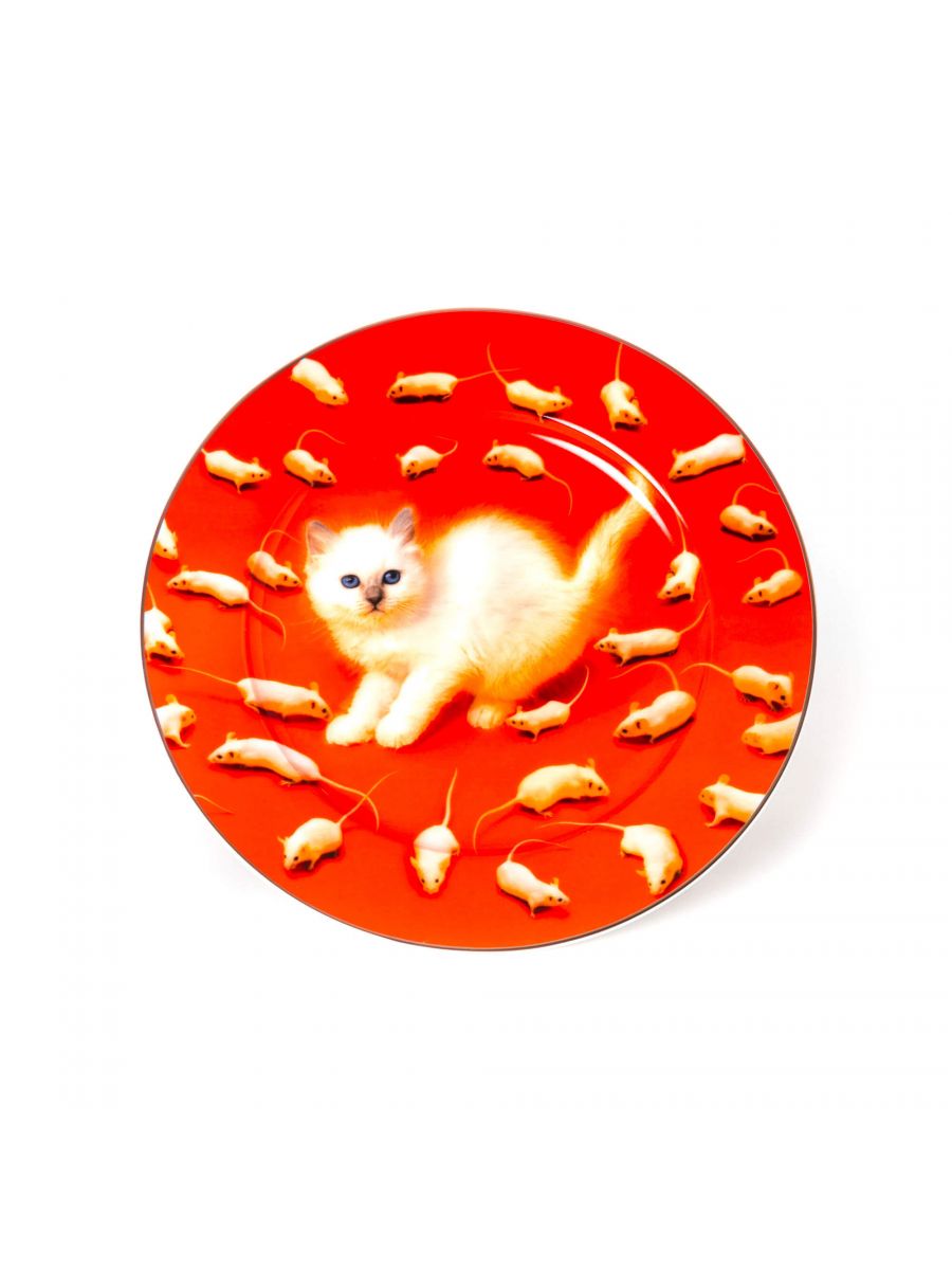 Plate Kitten
